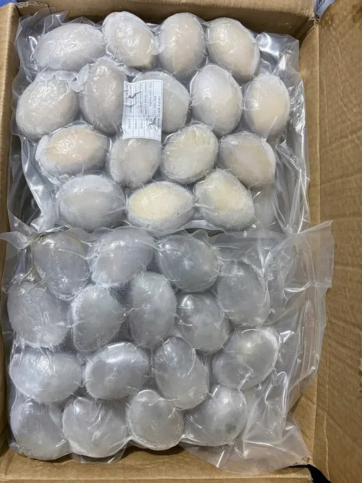 Bào ngư OC thùng xanh hút chân không